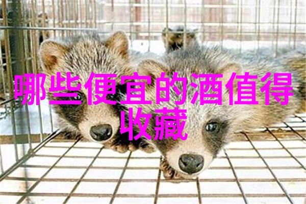 黑龙江粮食主产区分布-松嫩平原与黑河流域黑龙江省粮食生产的双重动力