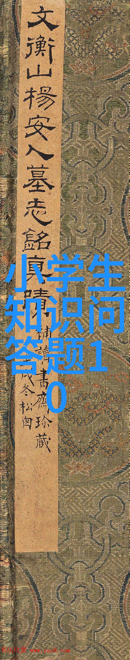 新冠疫情最新动态31省份共报告85例本土确诊案例