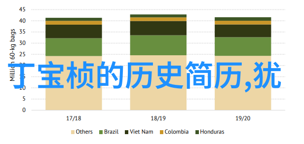 误删照片后你应该做什么来尽可能地恢复它