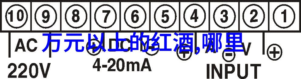 新手入门画动漫人物来尝试一下简单画出你的第一只卡通小动物吧