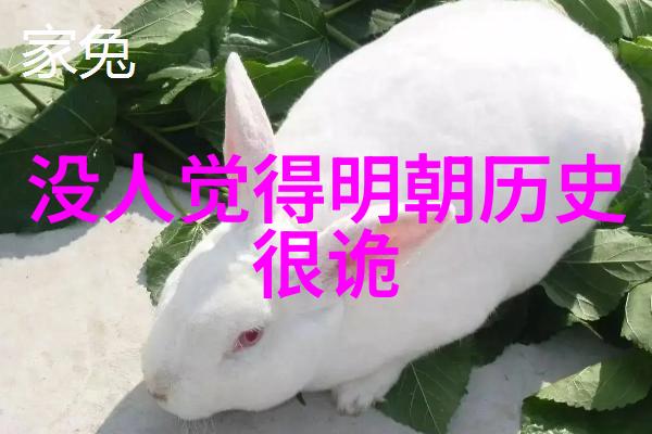 末日魔术师世界末路的守护者