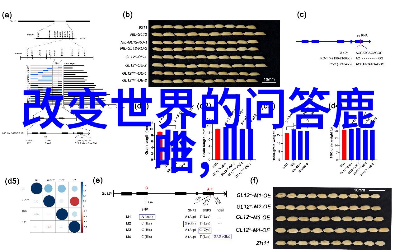 小SB几天没做又欠C顾一成视频-影视债务小SB的创作延误与对C顾一成的补偿