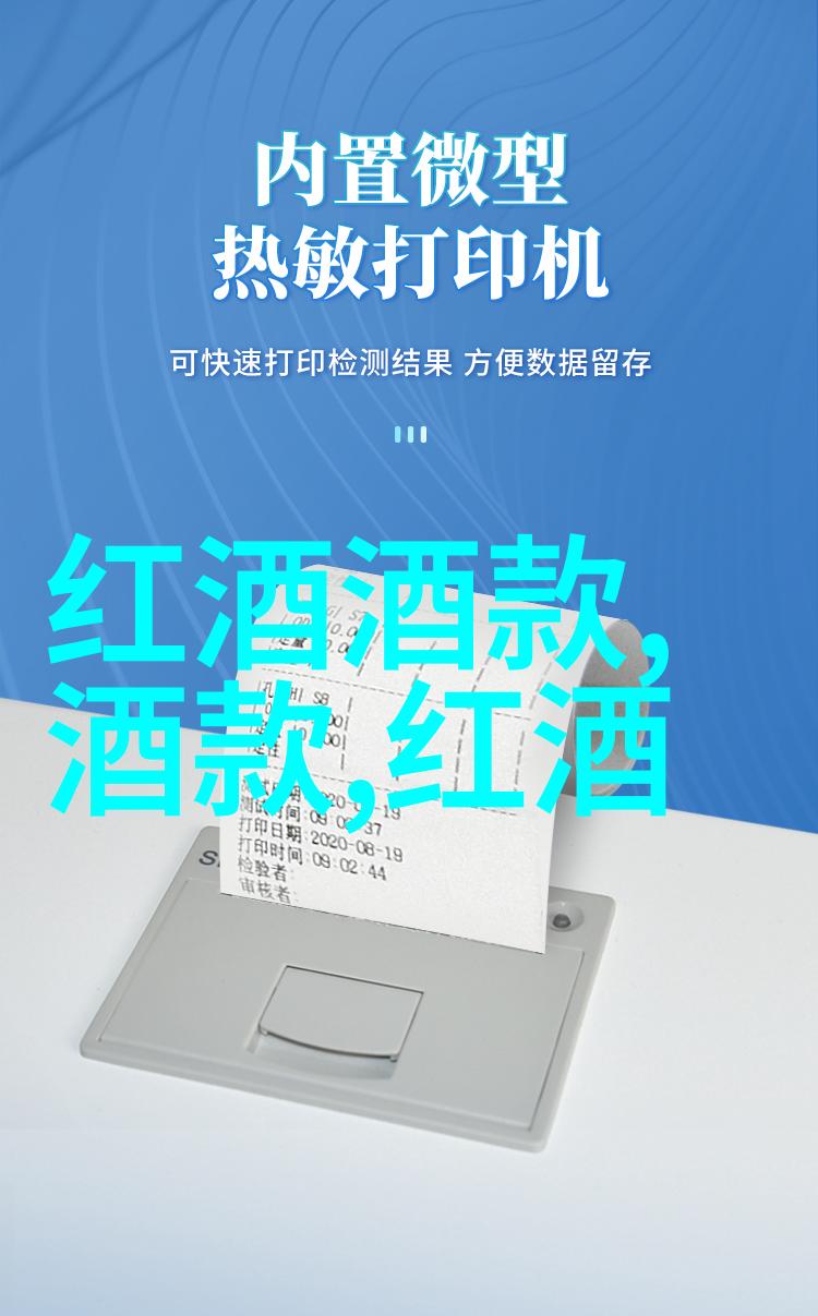 历史收藏的艺术与科技从古代到现代的文物保护变迁