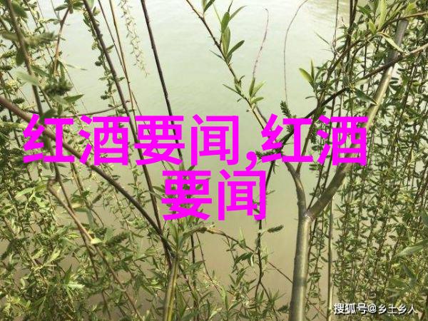 葡萄酒顶级产区-醇香绽放探索世界上最著名的葡萄酒产地