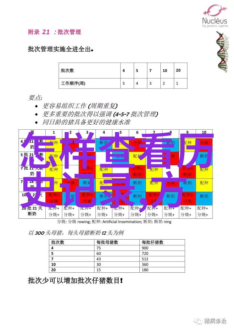 Rh男男车车的车车视频软件探索同行者的驾驭艺术与技术创新