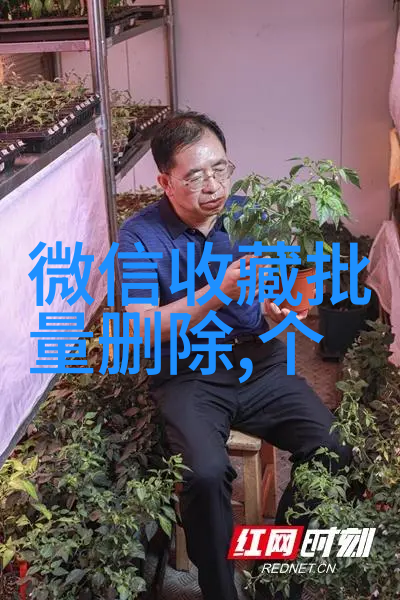 文化探险揭秘历史遗迹与艺术博物馆