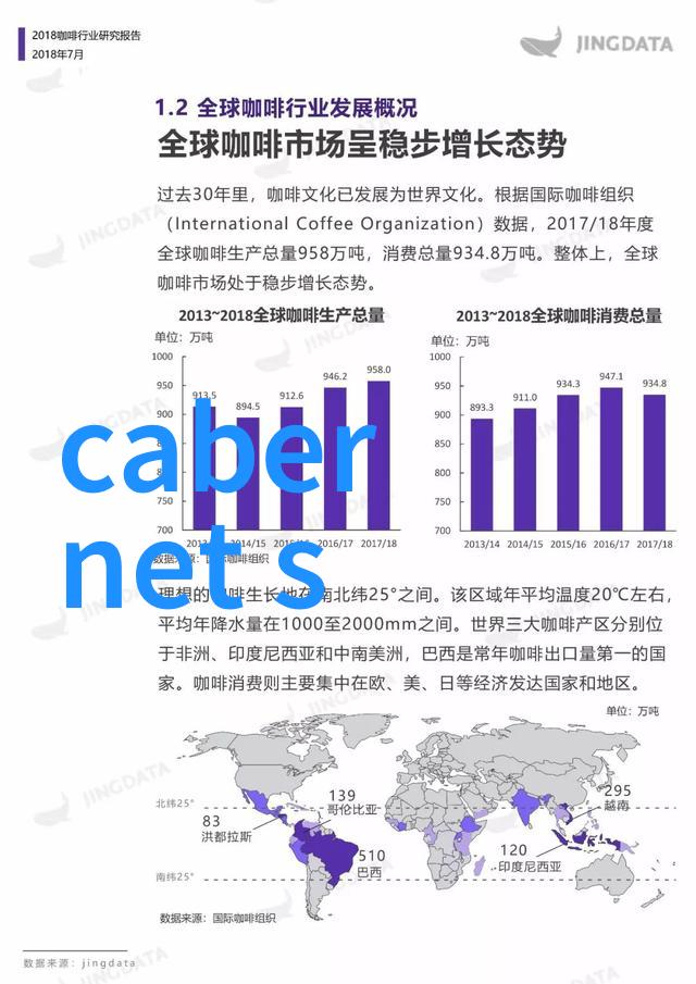 全球关注国内震动国际视角下的129活动