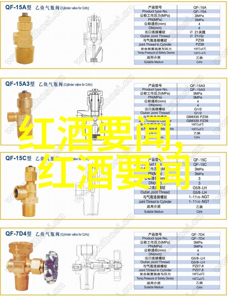 林笛儿的星辰之旅