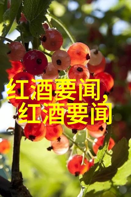 问答软件app我能用它解决生活中的每一个小问题吗