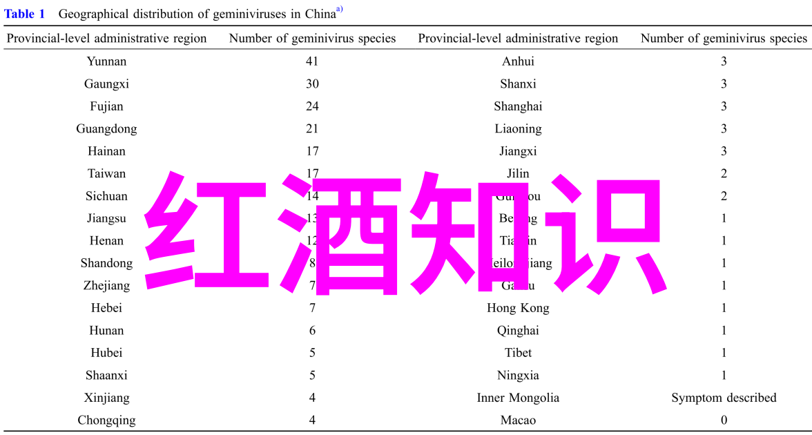 影子背后的巨星揭秘娱乐圈最神秘的明星