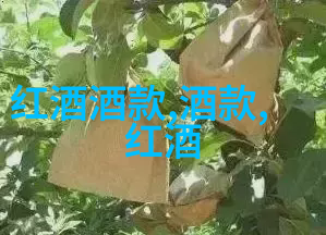 梅利酒庄与唐顿庄园的关系图是什么样的