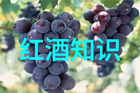 梦幻果实追逐葡萄酒酿造的梦想与挑战