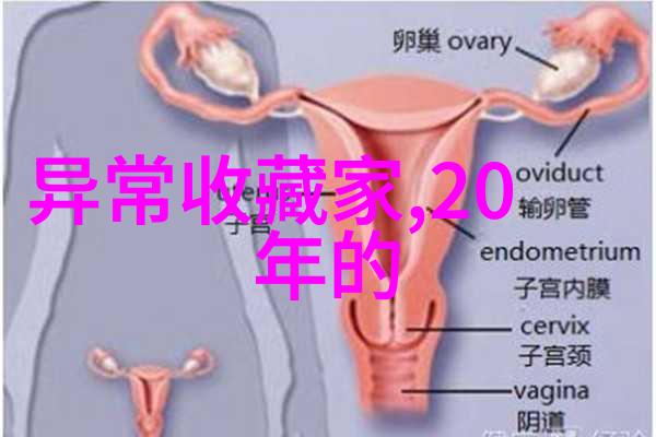 蚂蚁智慧之光如何通过日常生活中的小挑战找到正确答案