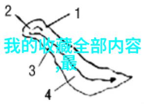 高清人物图片我的相机与那些捕捉人生瞬间的精彩照片