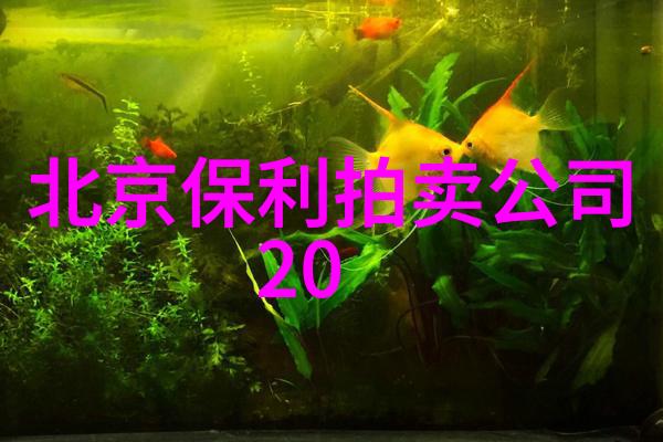 自然界如何影响了2022年中国红酒市场分析