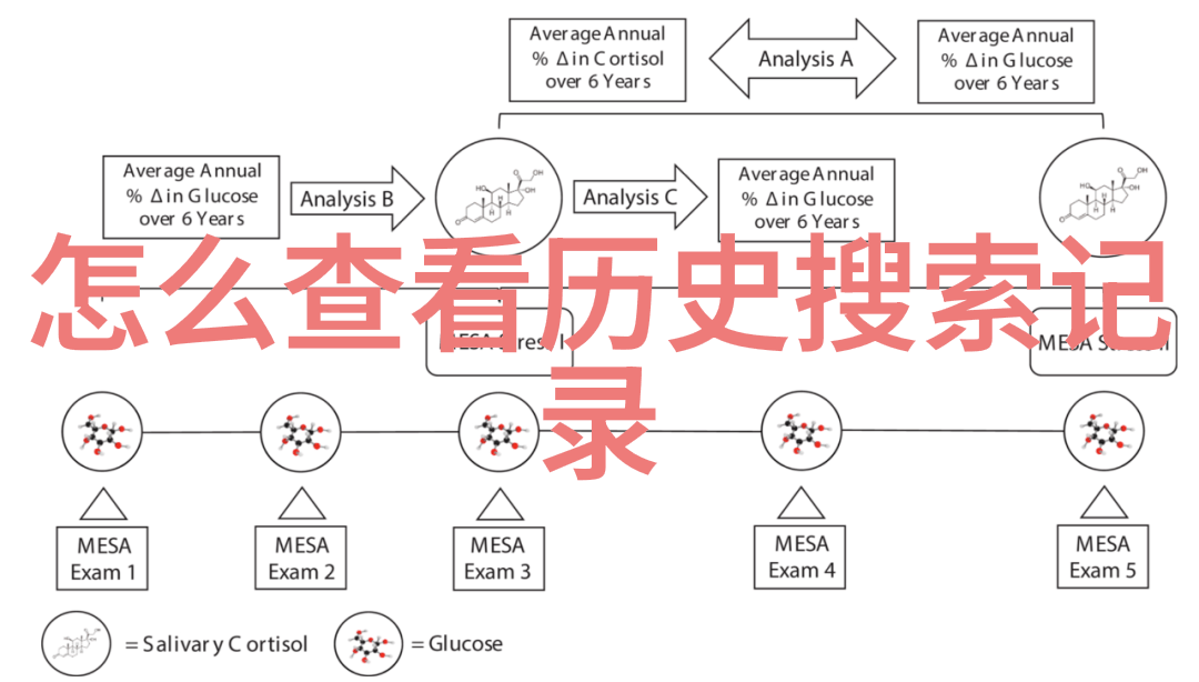 如何确保收藏网站域名安全无被盗用