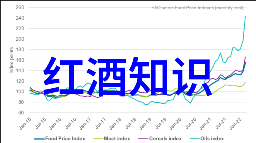 需要一只能陪伴老人的宠物吗推荐一些适合长辈养的小狗或大喵