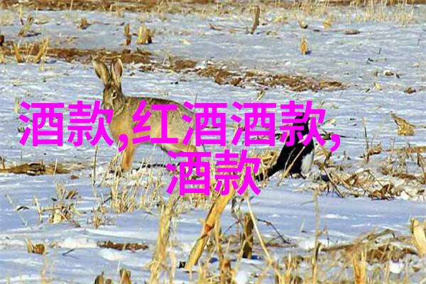 上海周边探秘揭秘静安寺外白渡桥与古北关的历史故事