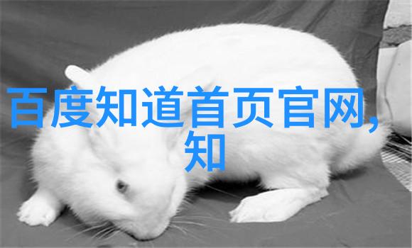 是否可以在室内养美短猫还是需要户外活动空间