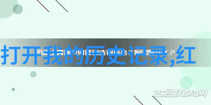 我爱收藏我的小宝贝们从旧书到稀奇玩意儿如何打造属于你的收藏世界