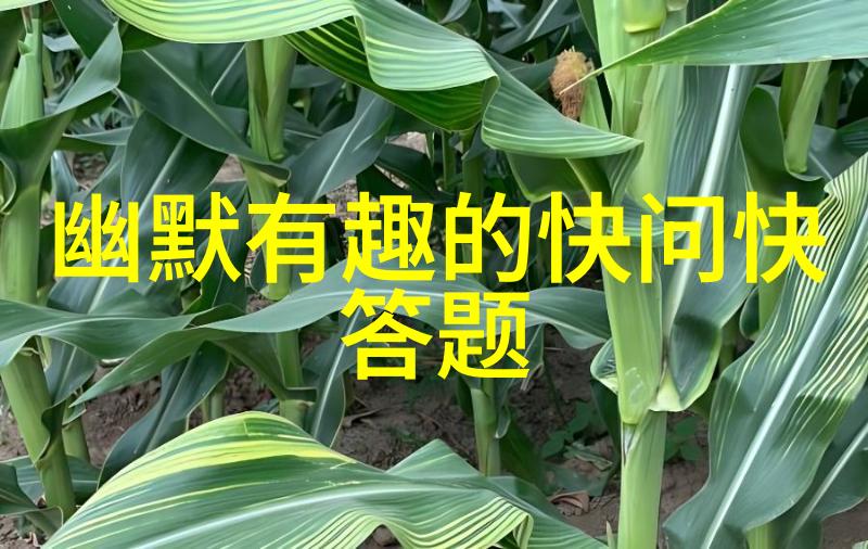 花开一曲玫瑰的诗意名字