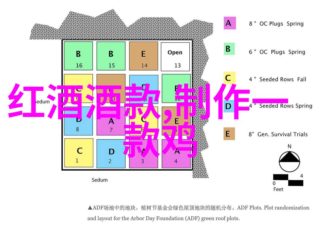 书香四溢藏书人的秘密世界