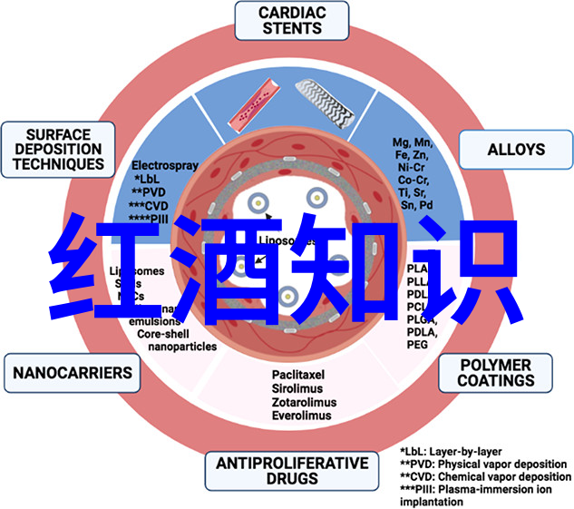 探索历史的长河文化常识答题游戏之旅