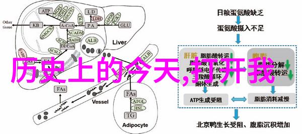 餐桌上的伴侣如何搭配葡萄酒提升美食体验