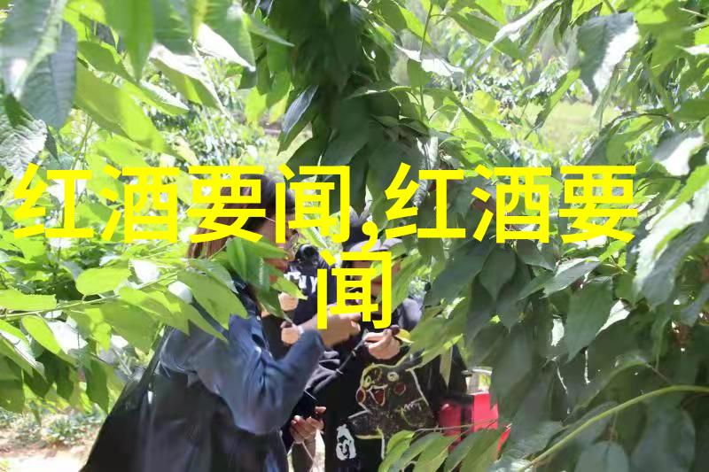 为何说松江老街是体验老上海风情必去的地方