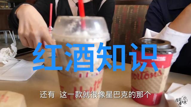 红酒文化最终定义我眼中的那杯醇香红酒文化的真谛