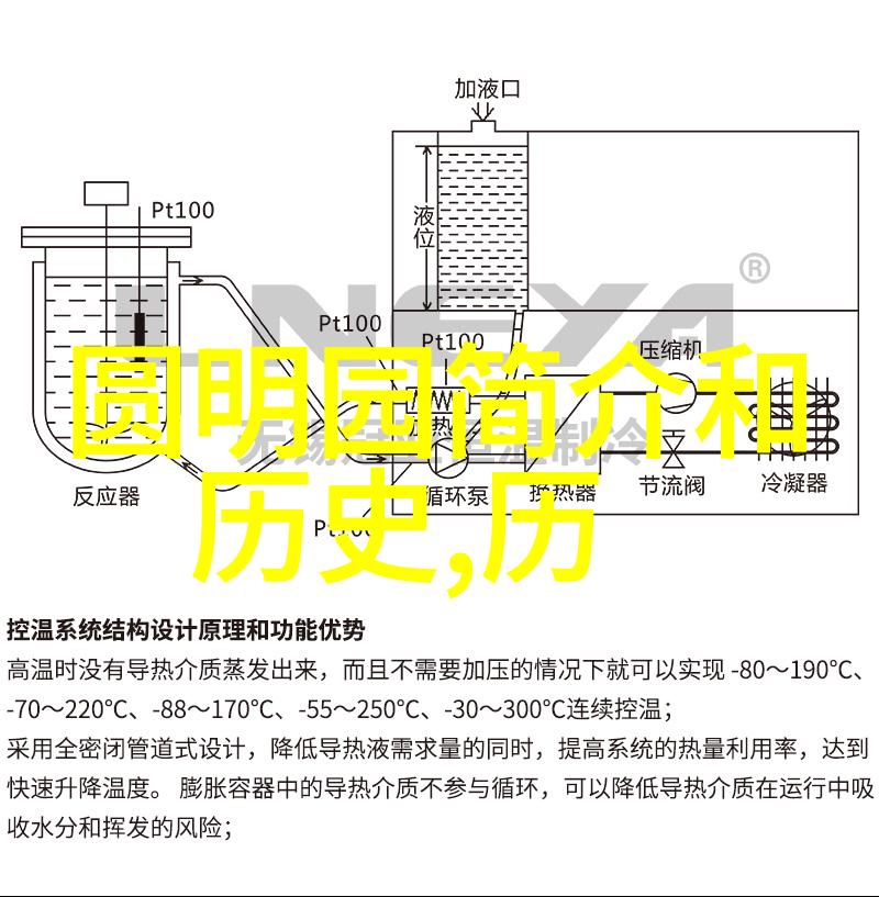 花开满园探索世界各地独特的玫瑰品种美学