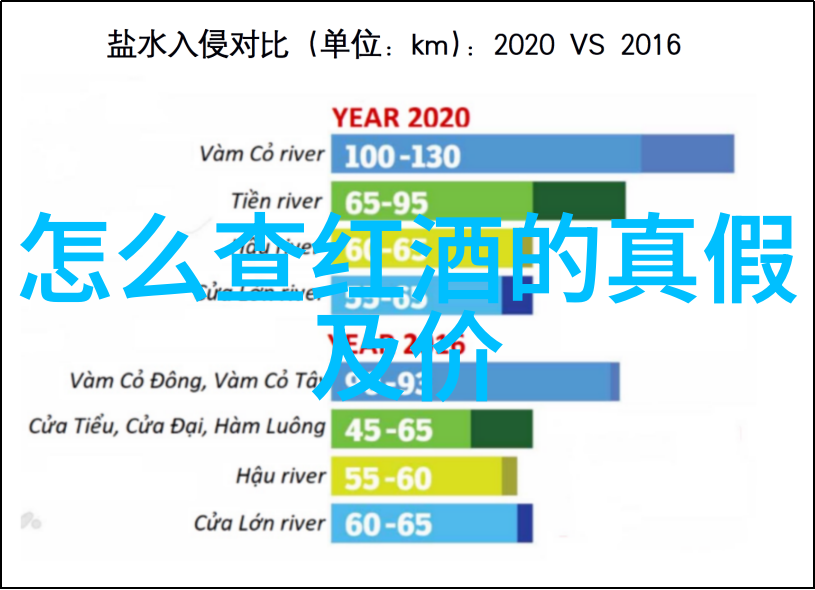 猫咪的魅力探索世界上最爱的宠物品种