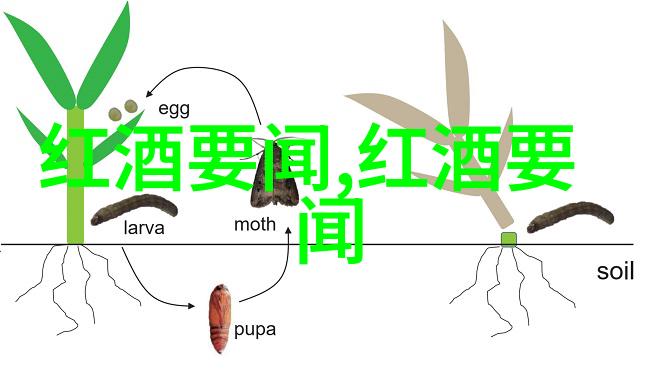 陕西历史博物馆我在这里找到了历史的回声