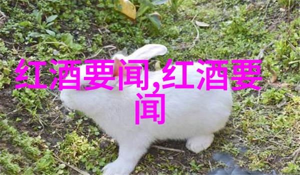 猫咪品种大集合喵从娇小到壮硕的宠物超级名模