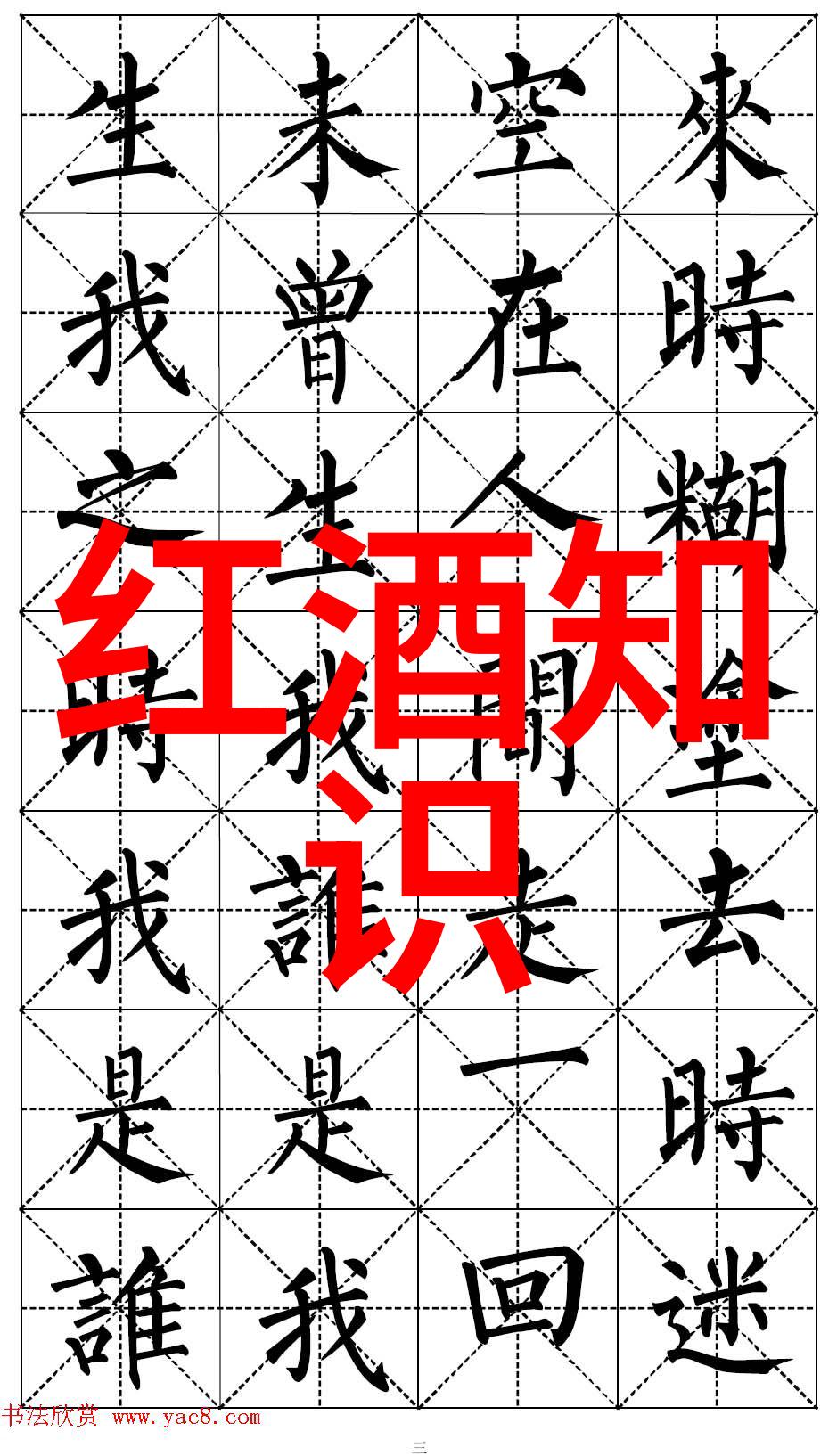 玫瑰花品种名字大全绚烂的画卷