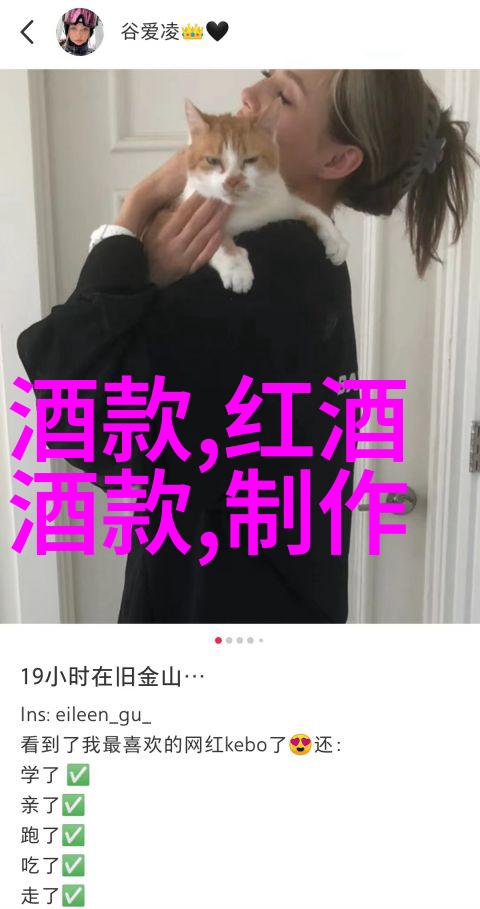 猫的价格表-喵呜宝贝揭秘宠物猫市场最新价格动态