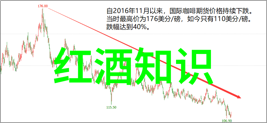 猫的种类大揭秘从波斯到缅甸一共有多少只