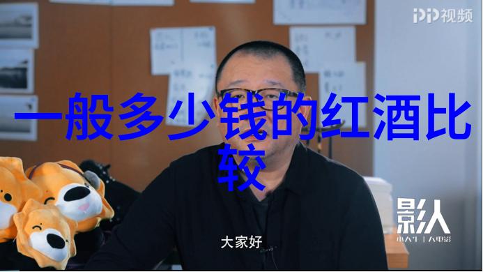 面对维护成本怎么平衡梦想与实际经济能力