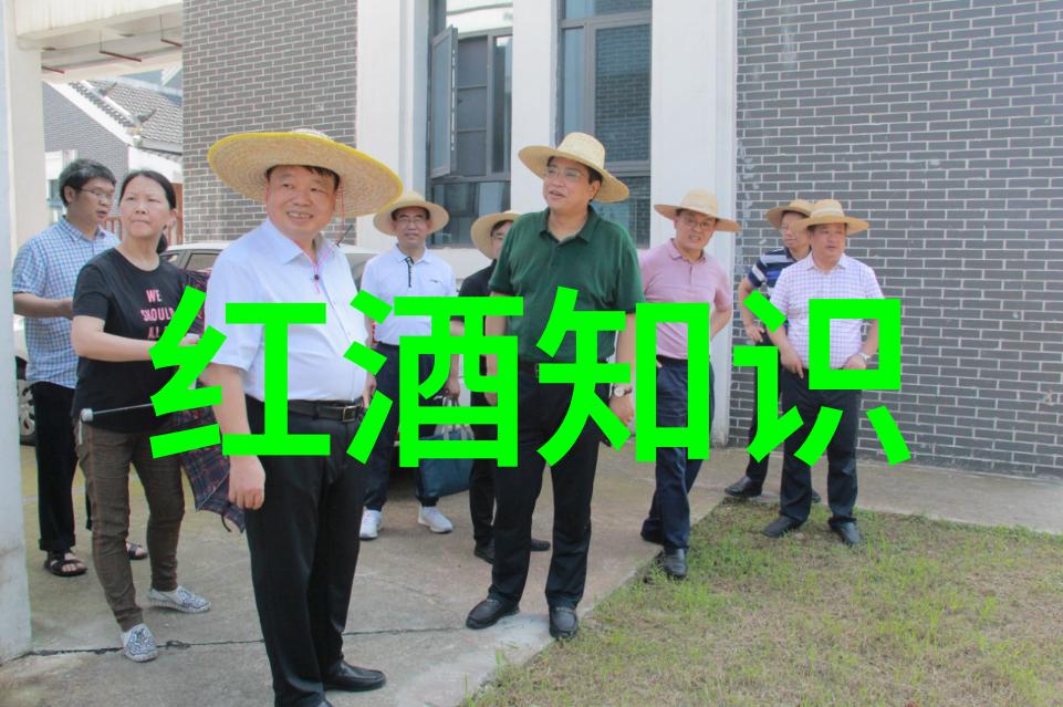 民众需求与政府响应分析十二九运动对城乡差距缓解作用