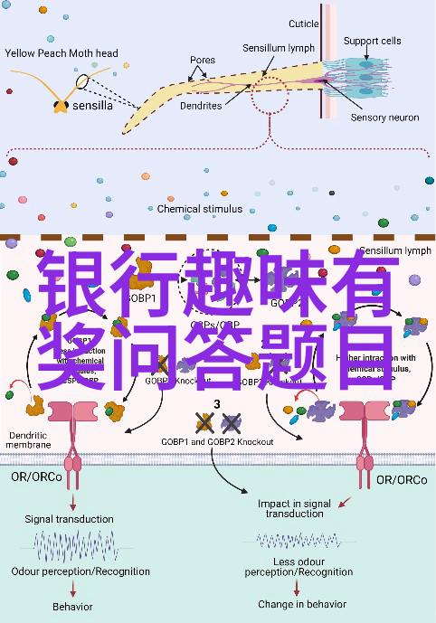 红酒品鉴揭秘一瓶好酒的魅力