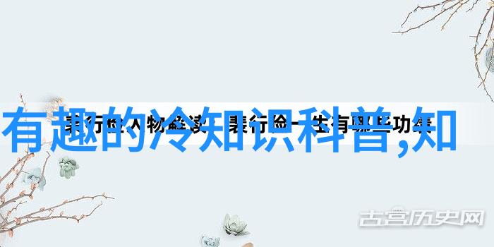 让视觉故事重现生机最佳实践来管理和恢复收藏照片集锦