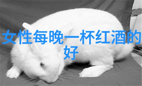 猫之迷探秘寂静的多彩世界