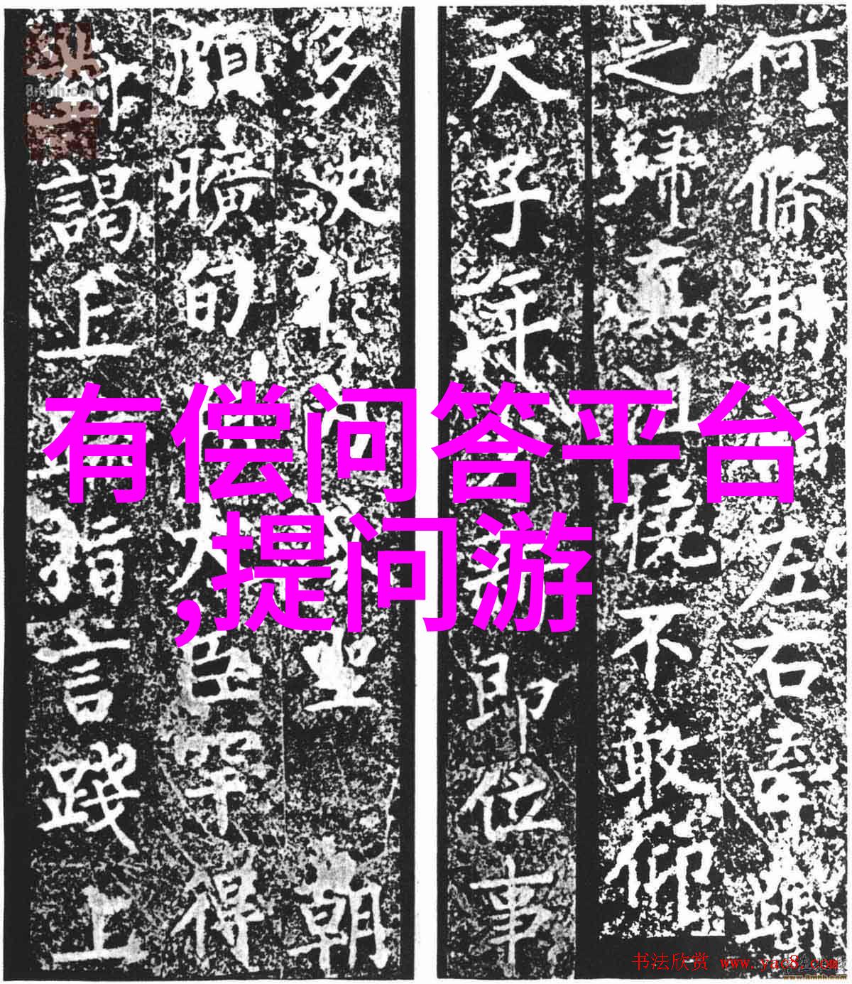 春夏秋冬一年四季的选择根据季节推荐适合养殖和观赏的玫瑰品种介绍与图像分享