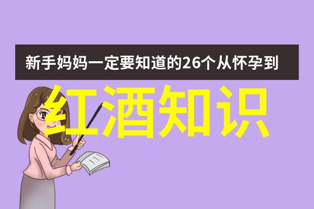 法兰西文化之冠探索法国最突出的艺术文学与美食传统