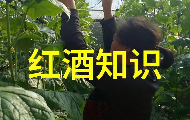 爱情背叛与权力斗争唐顿庄园中的女性角色分析