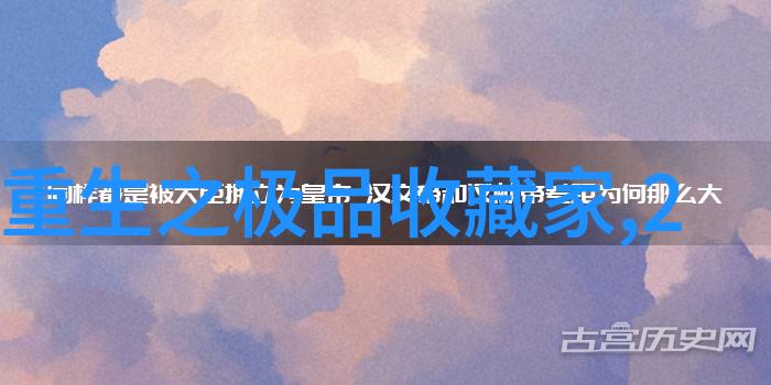 全国拍卖王者守护正规引领市场