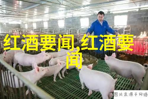 全球猫咪宝贝品种排名图鉴与收藏价格指南