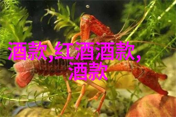 搜题系统智能助手的新篇章