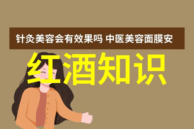 雷盛LEESON红酒分析在社会场景中探索法国葡萄酒庄的艺术与情感共鸣之谜