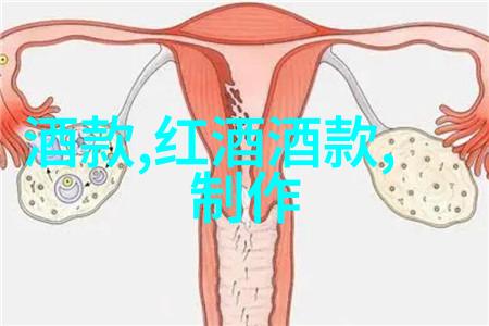 探索西班牙红酒产区的荣耀解锁葡萄酒文化的秘密